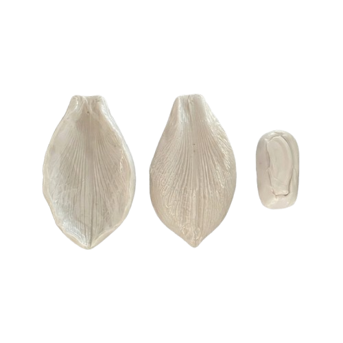 Molde Flor de Cerejeira